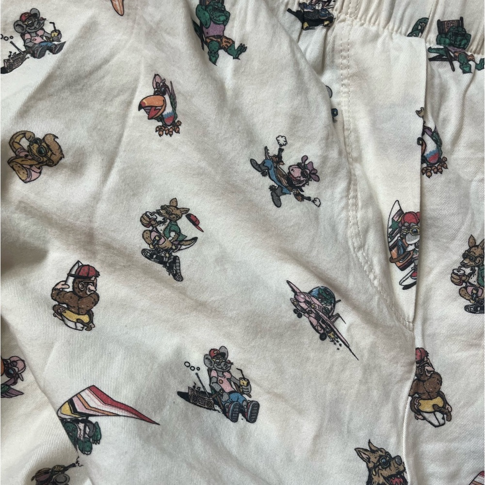 brandy melville Pj pants